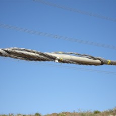 Splice Shunt